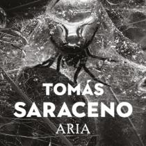 Tomás Saraceno. Aria