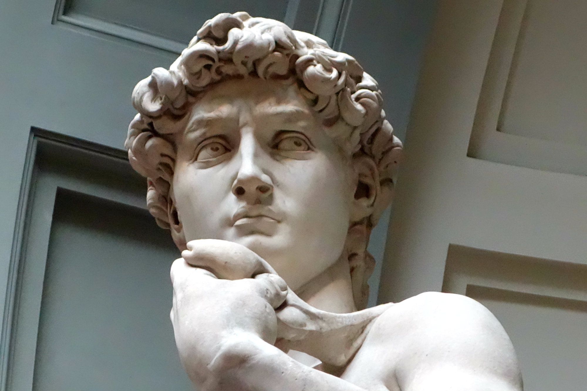 Immagine del David