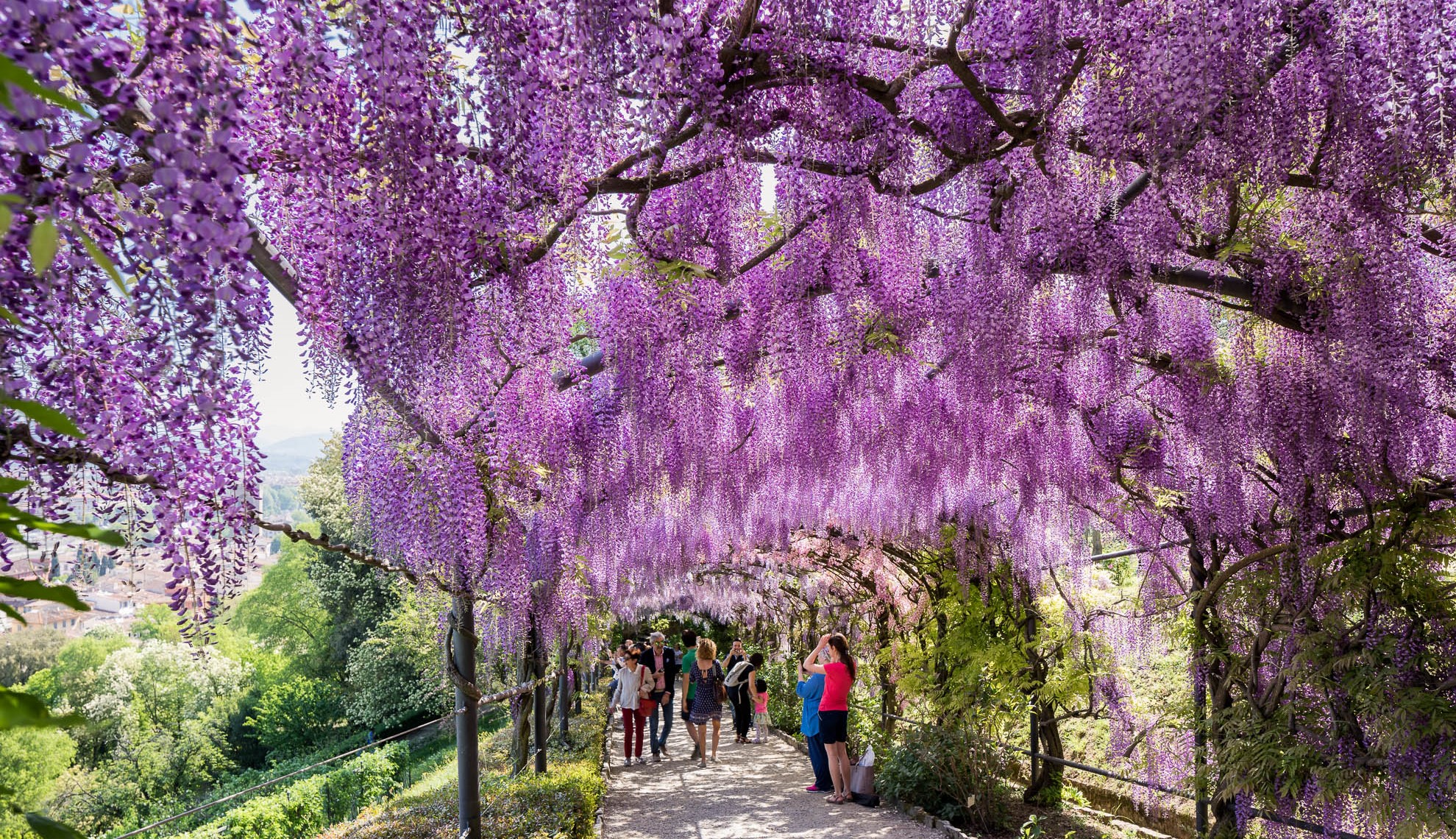 Villa e Giardino Bardini | Firenze Card