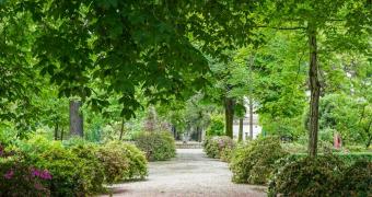Immagine dell'orto botanico