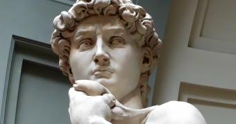 Immagine del David